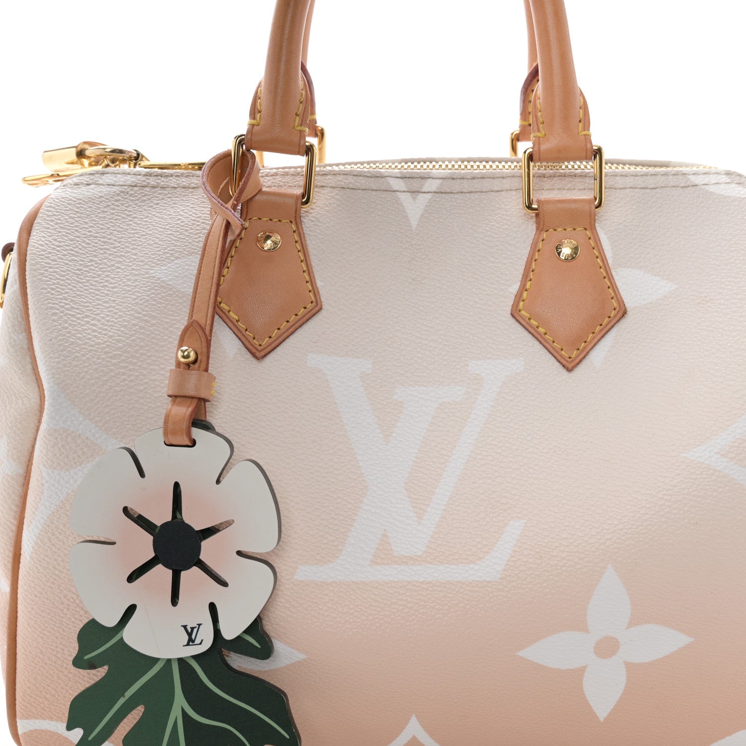 Louis Vuitton Monogram Giant By The Pool Speedy Bandouliere 25 Brume 8 of 19
