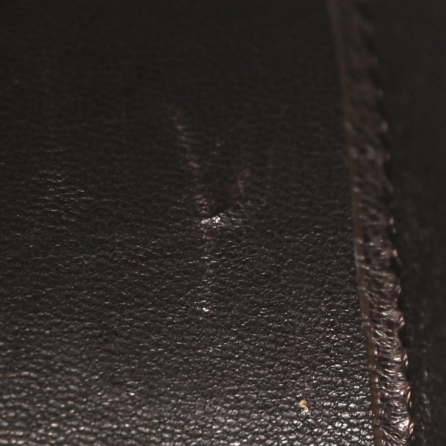 Smooth Calfskin Half Moon Shoulder Bag Twany