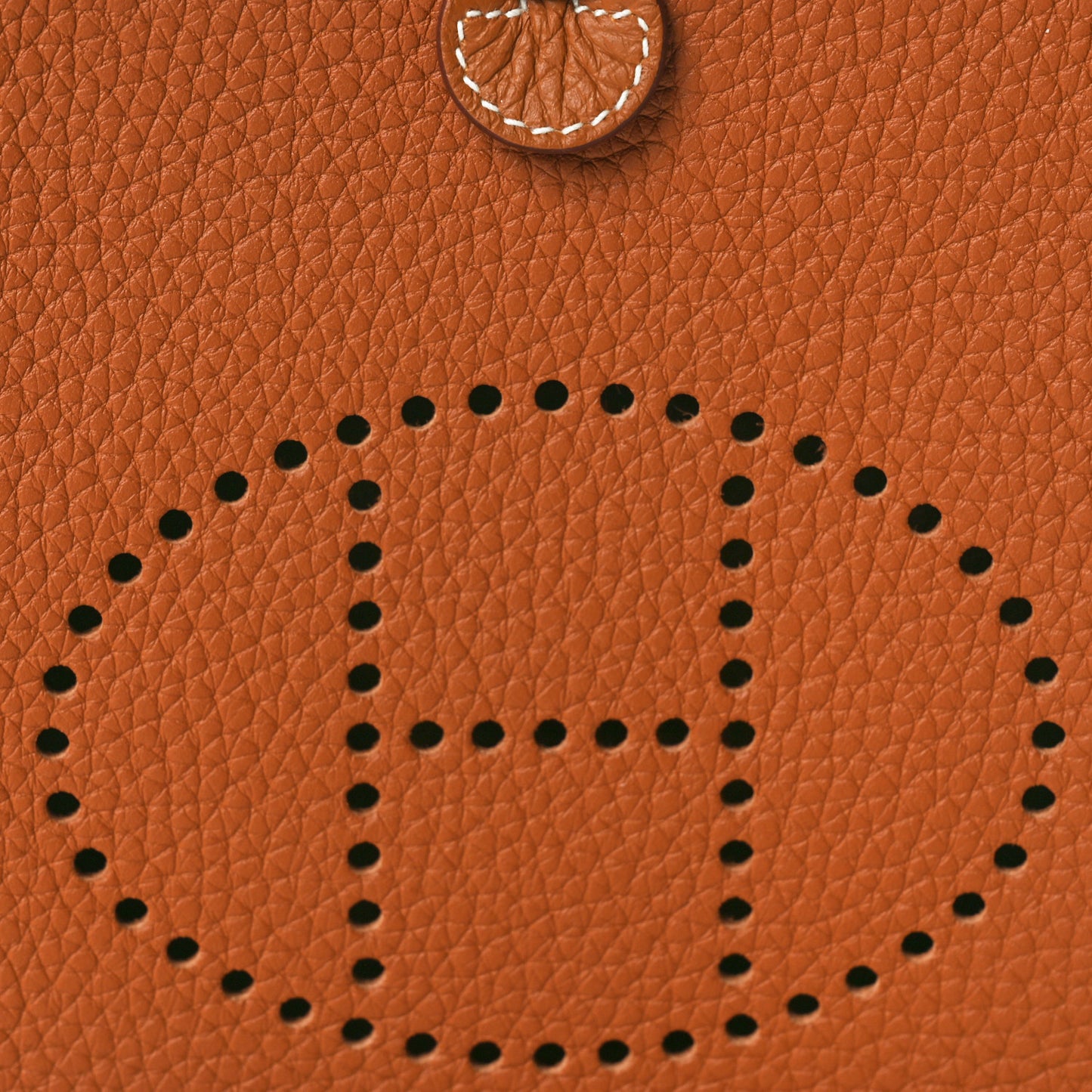 Taurillon Clemence Evelyne TPM Gold