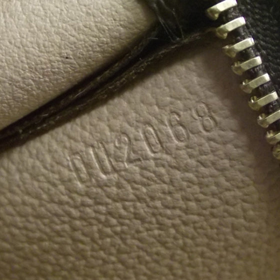 Monogram Poche Toilette 19 Bag