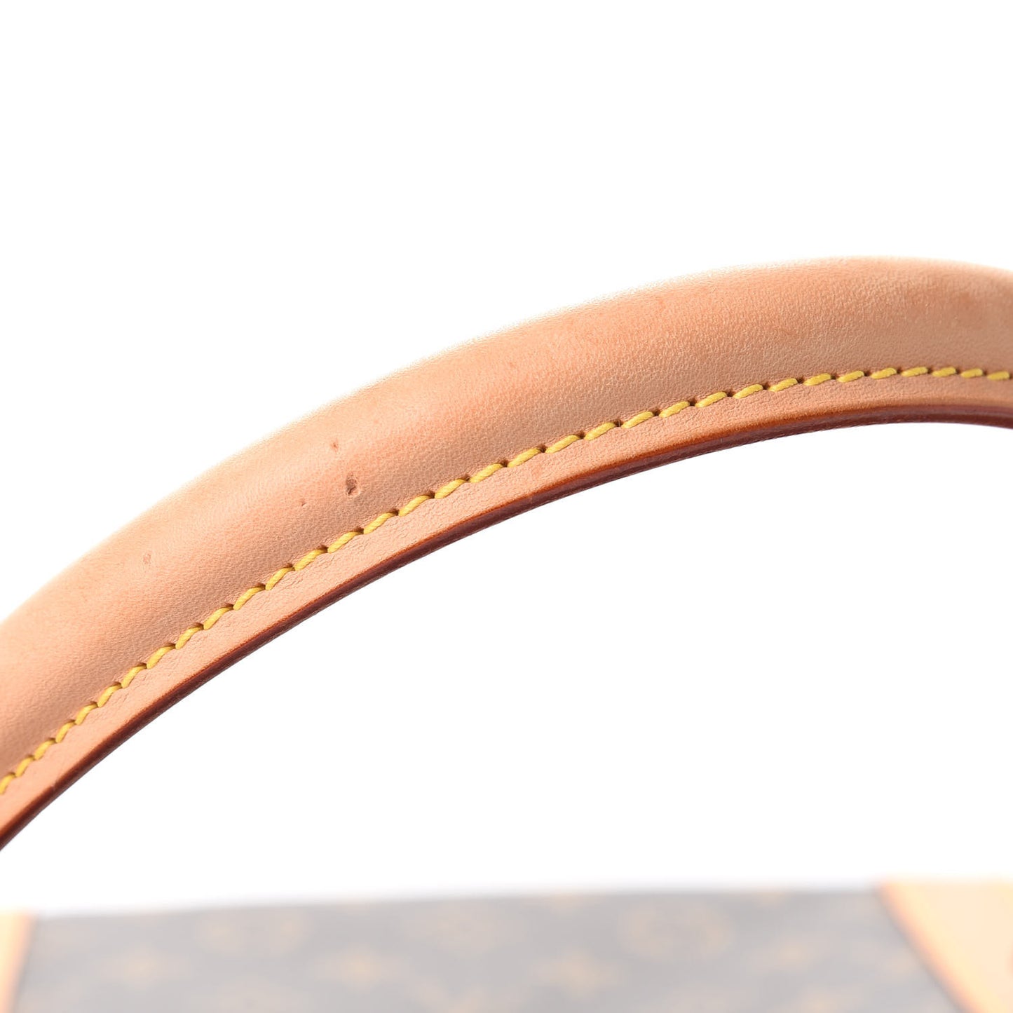 Monogram Sac Chien 40 Pet Carrier