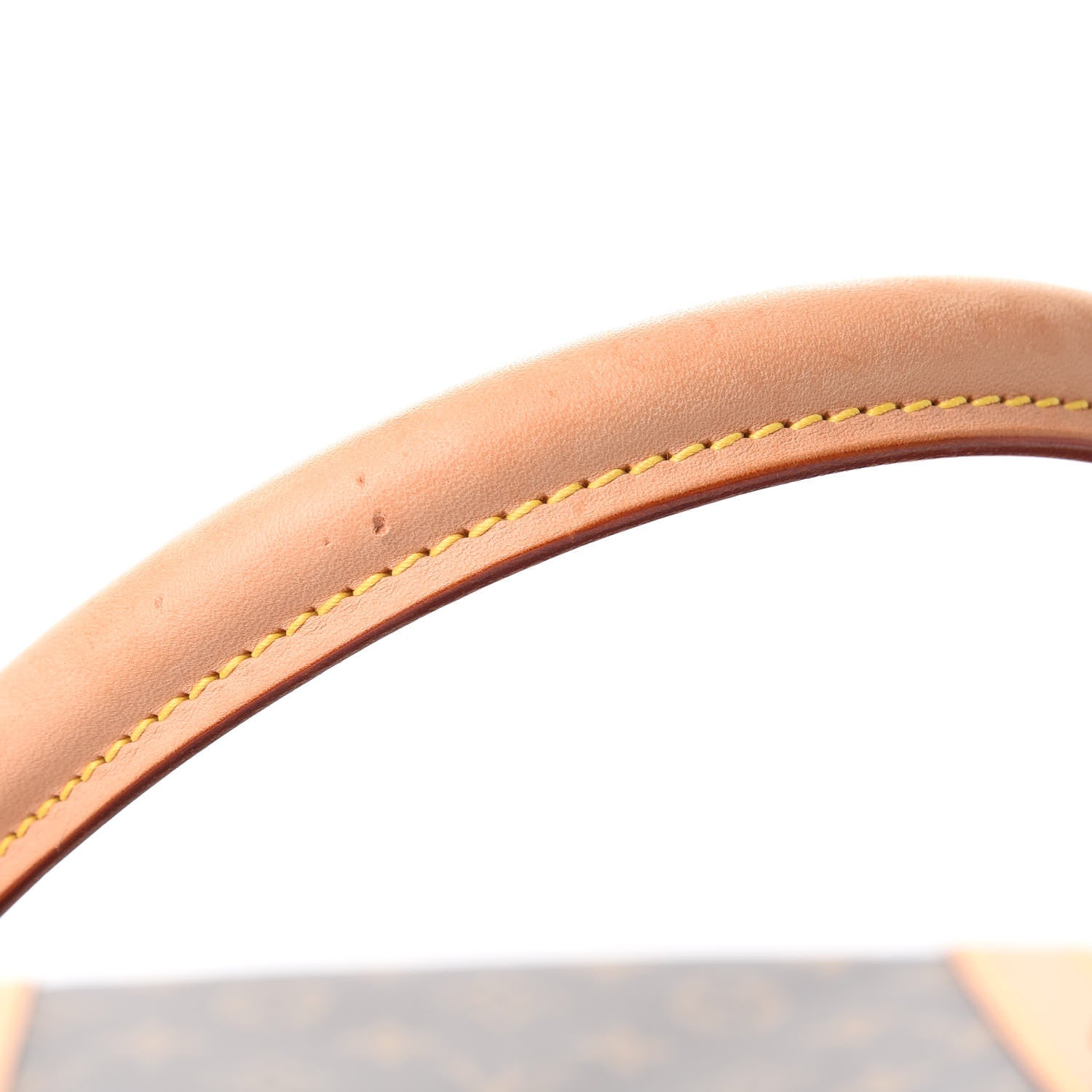 Louis Vuitton Monogram Sac Chien 40 Pet Carrier 15 of 18