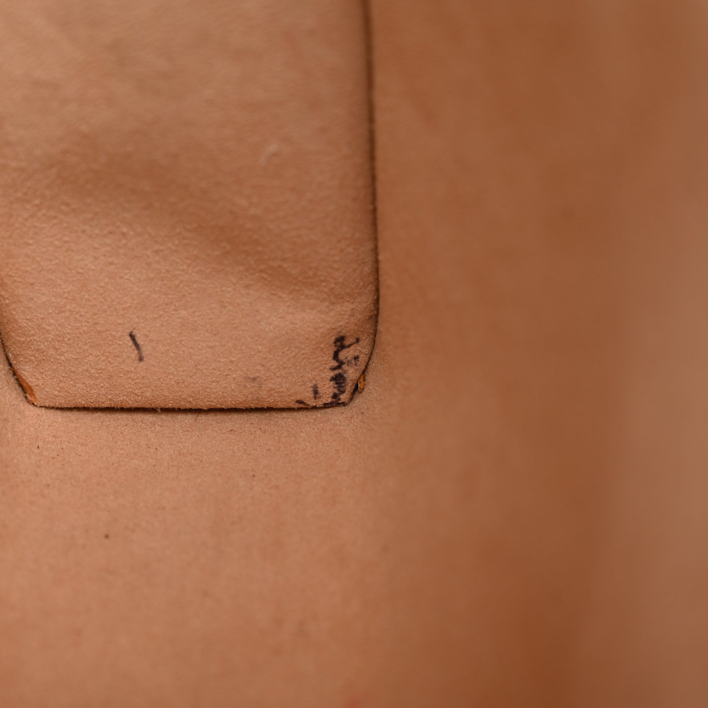 GG Supreme Monogram Web Ophidia Pouch Brown