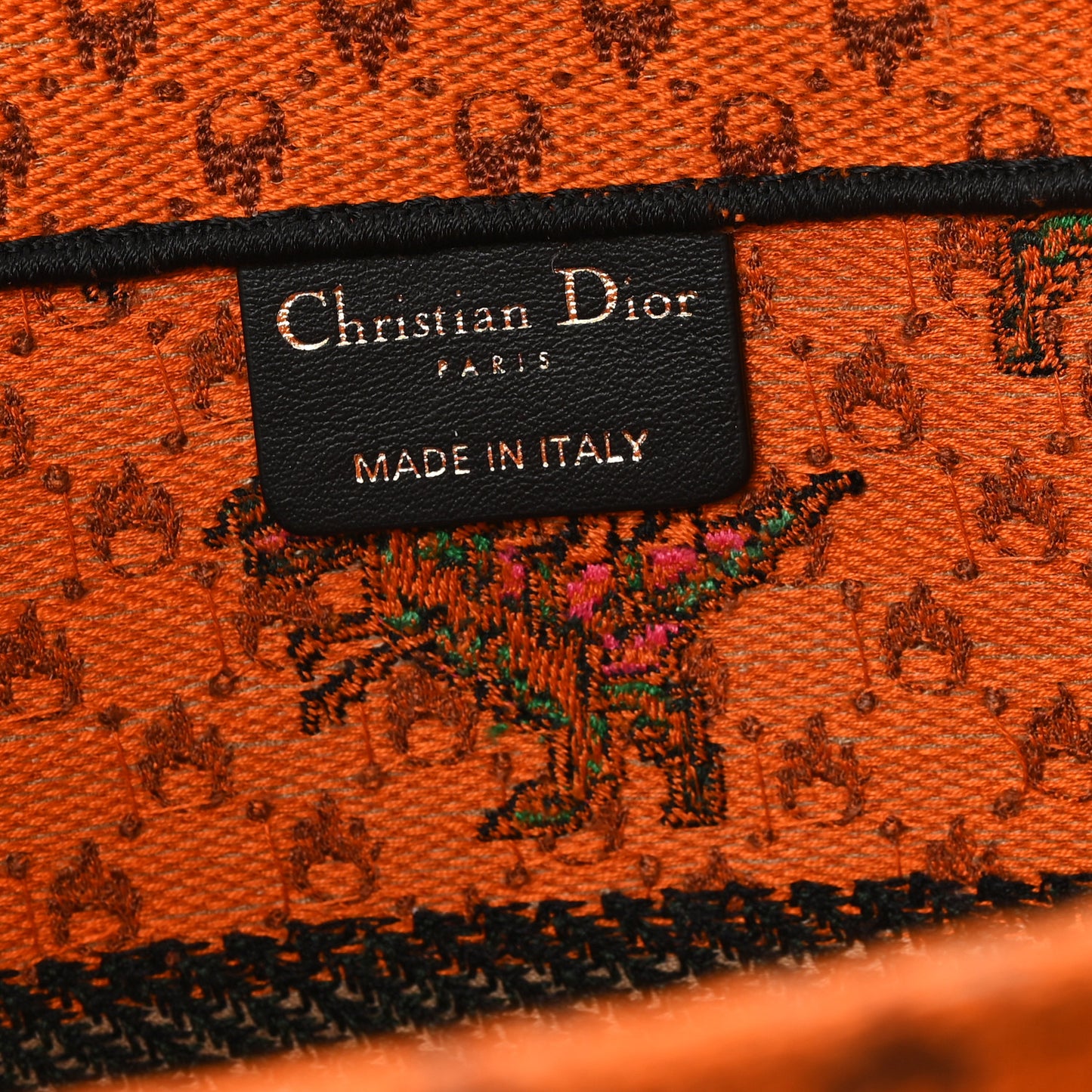 Canvas Embroidered Medium Dino Book Tote Orange Multicolor