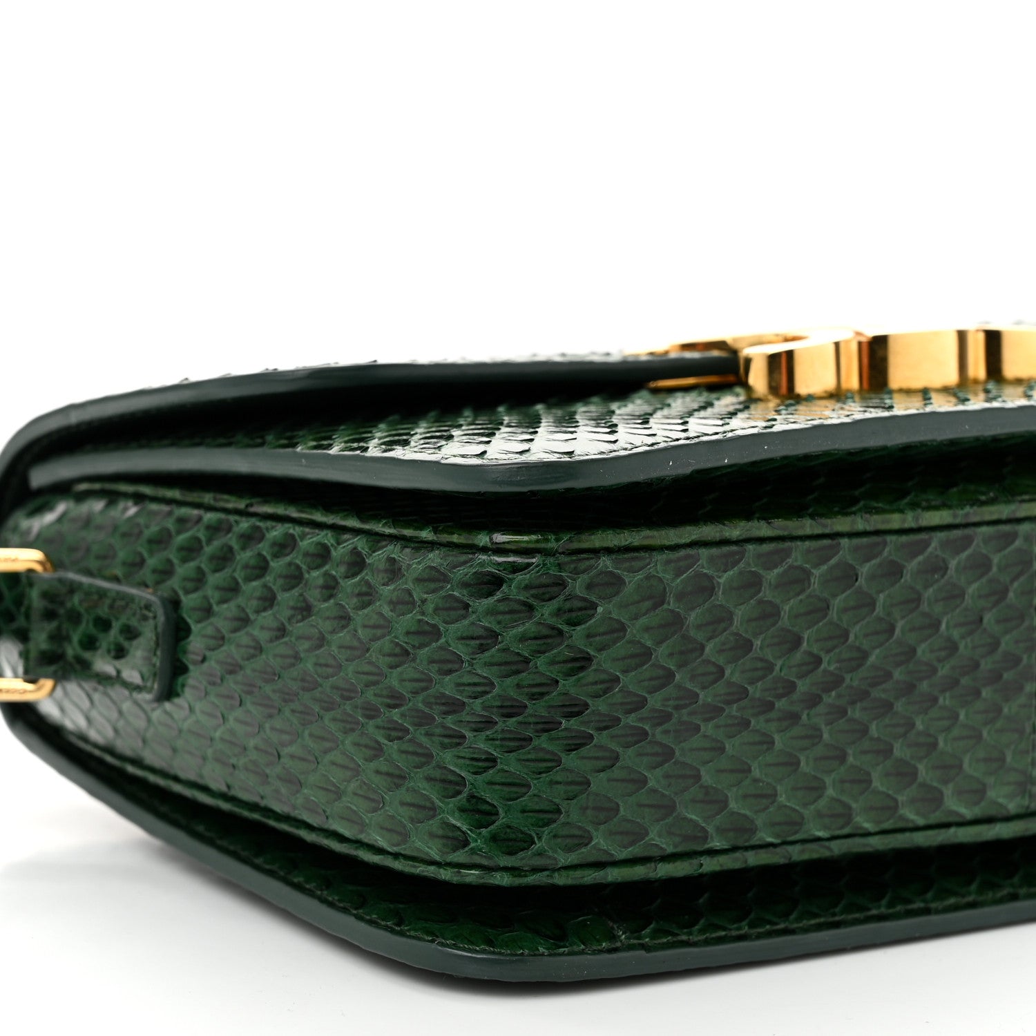 Celine Watersnake Teen Triomphe Green 1708060 – FASHIONPHILE