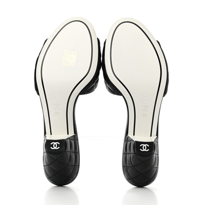 Chanel Lambskin Quilted Textured CC Mules 38 Black 5 of 9