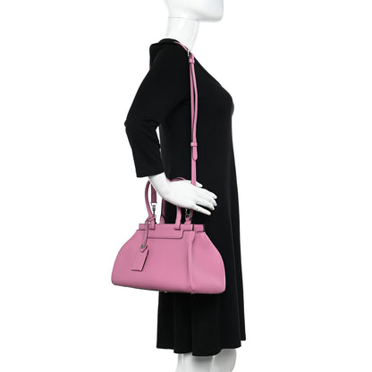 Moynat Taurillon Gex Pauline Tote Bougainvillier 2 of 14