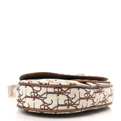 Christian Dior X CACTUS JACK Oblique Saddle Belt Bag Coffee 4 of 8