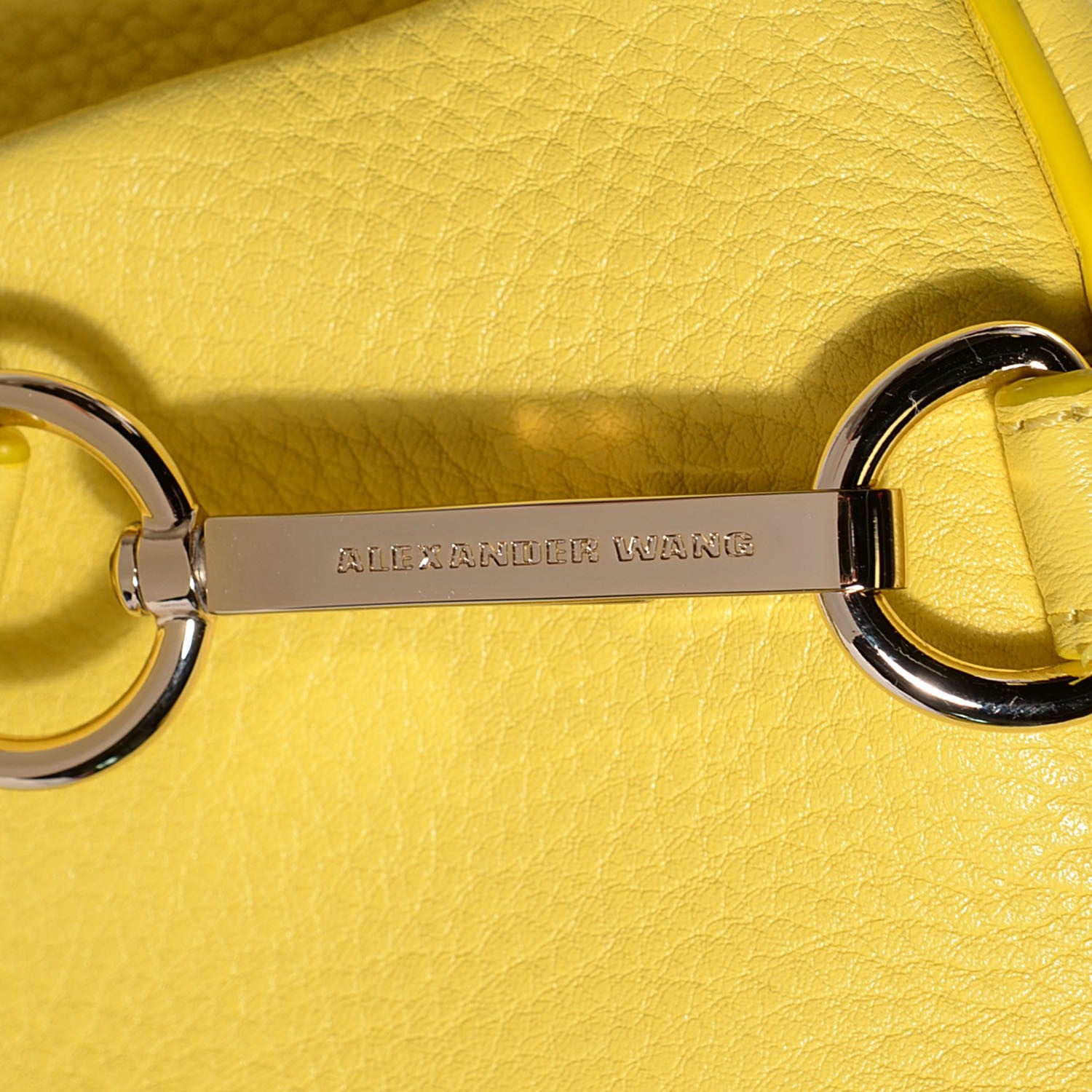 Alexander Wang Pebbled Lambskin Rockie Acid Pale Gold Hardware 5 of 9