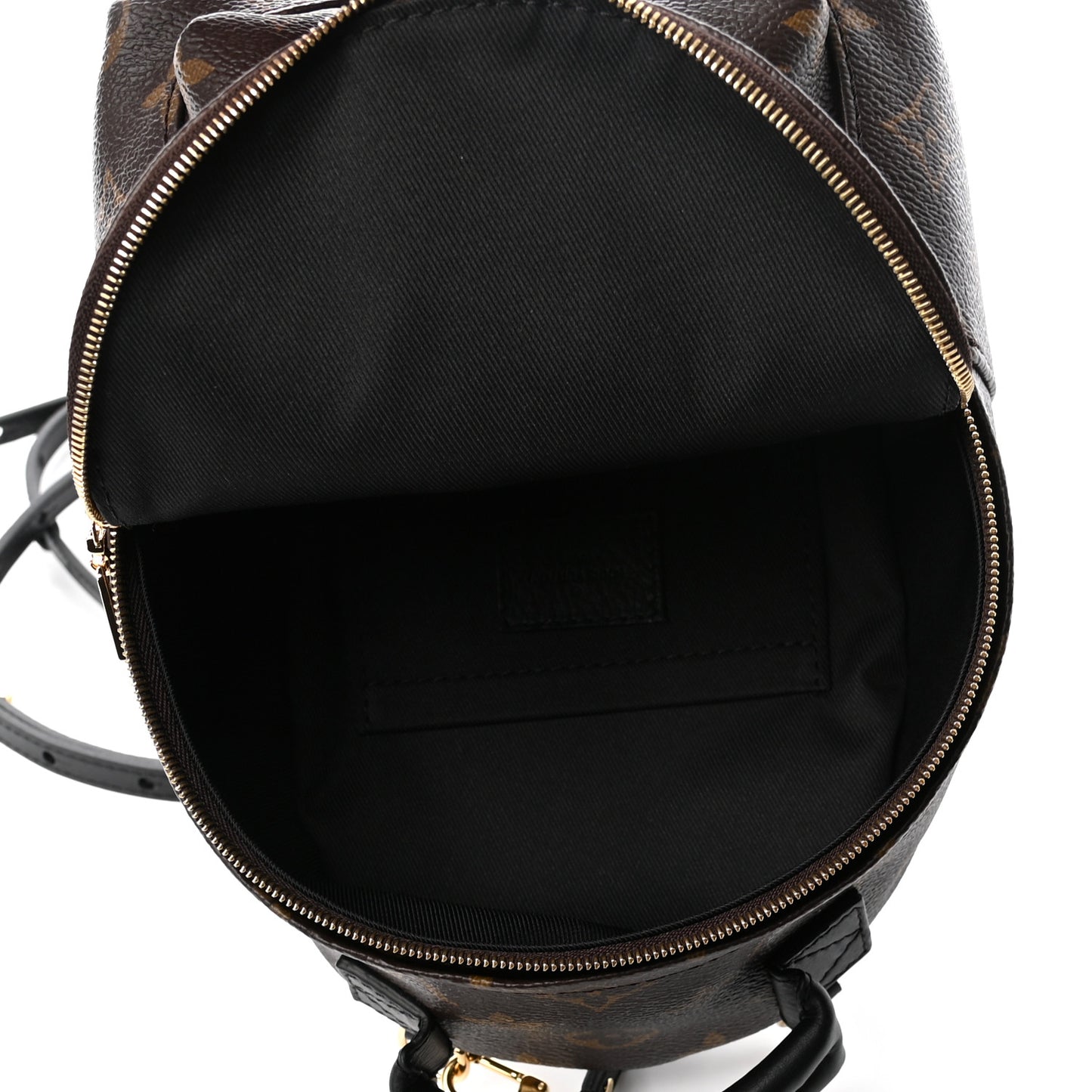 Monogram Palm Springs Backpack Mini