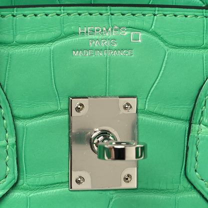 Hermes Matte Alligator Birkin 25 Vert Comics 6 of 13