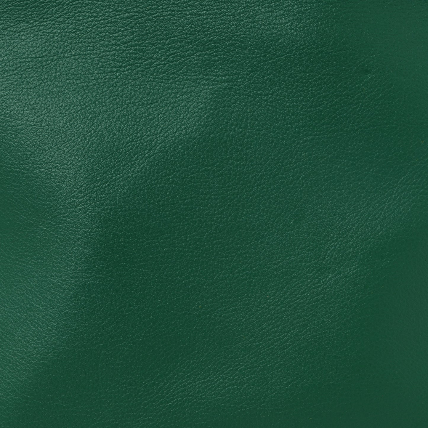 Goyardine Reversible Mini Anjou Green