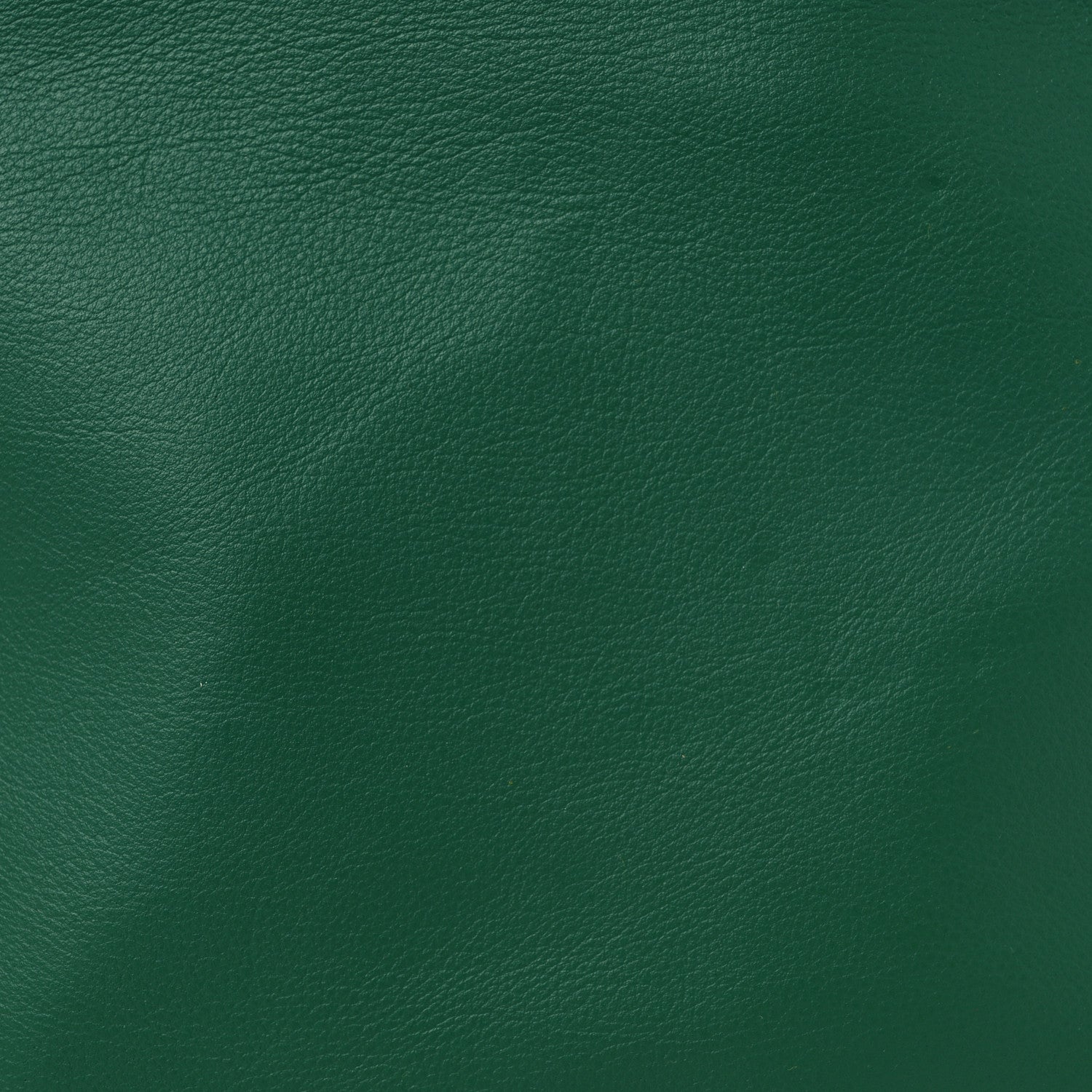 Goyard Goyardine Reversible Mini Anjou Green 15 of 21