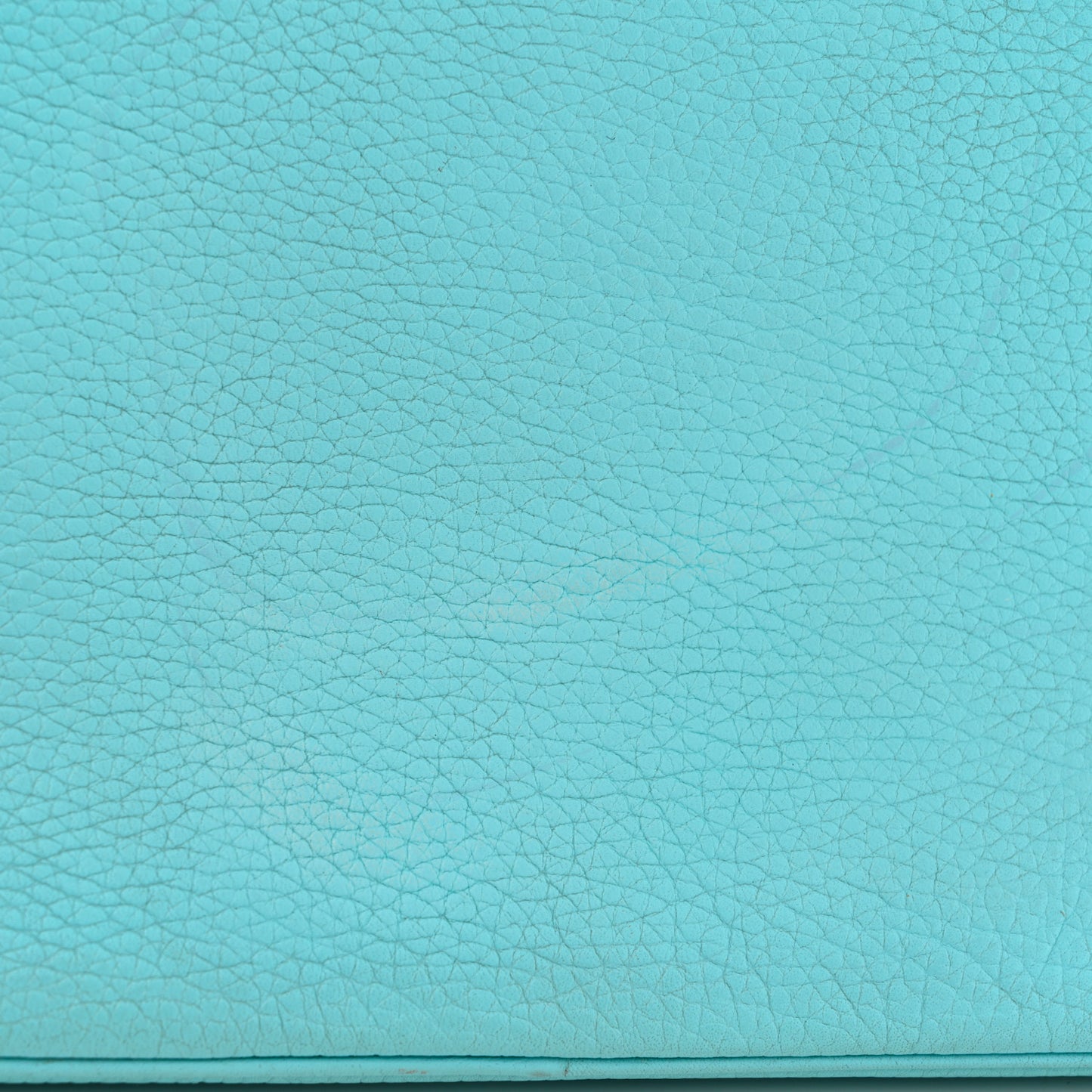 Bullcalf Medium Diorissimo Tote Light Blue