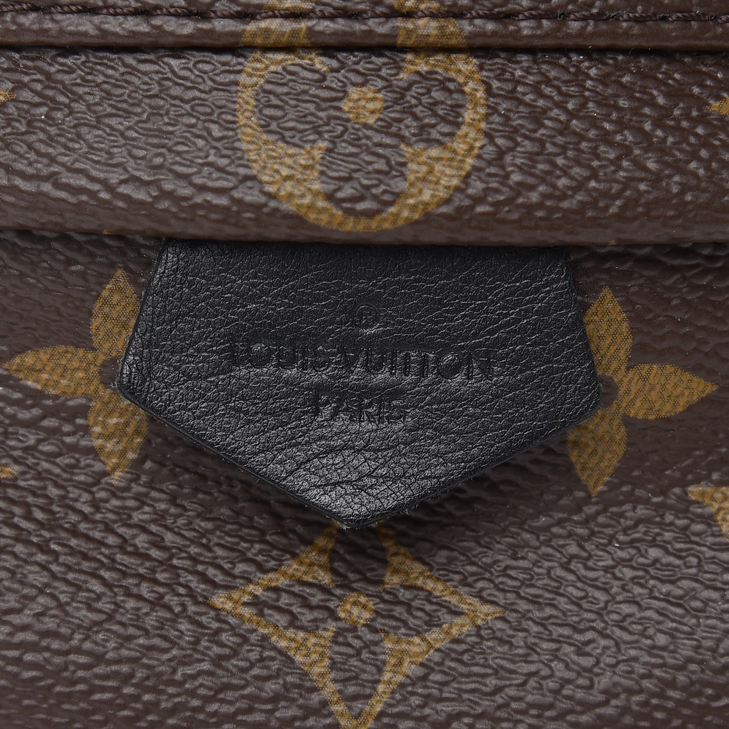 Monogram Palm Springs Backpack Mini
