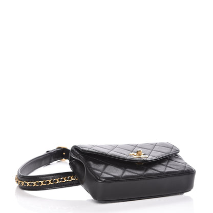 Chanel Calfskin Quilted Flap Waist Bag Black 4 of 9