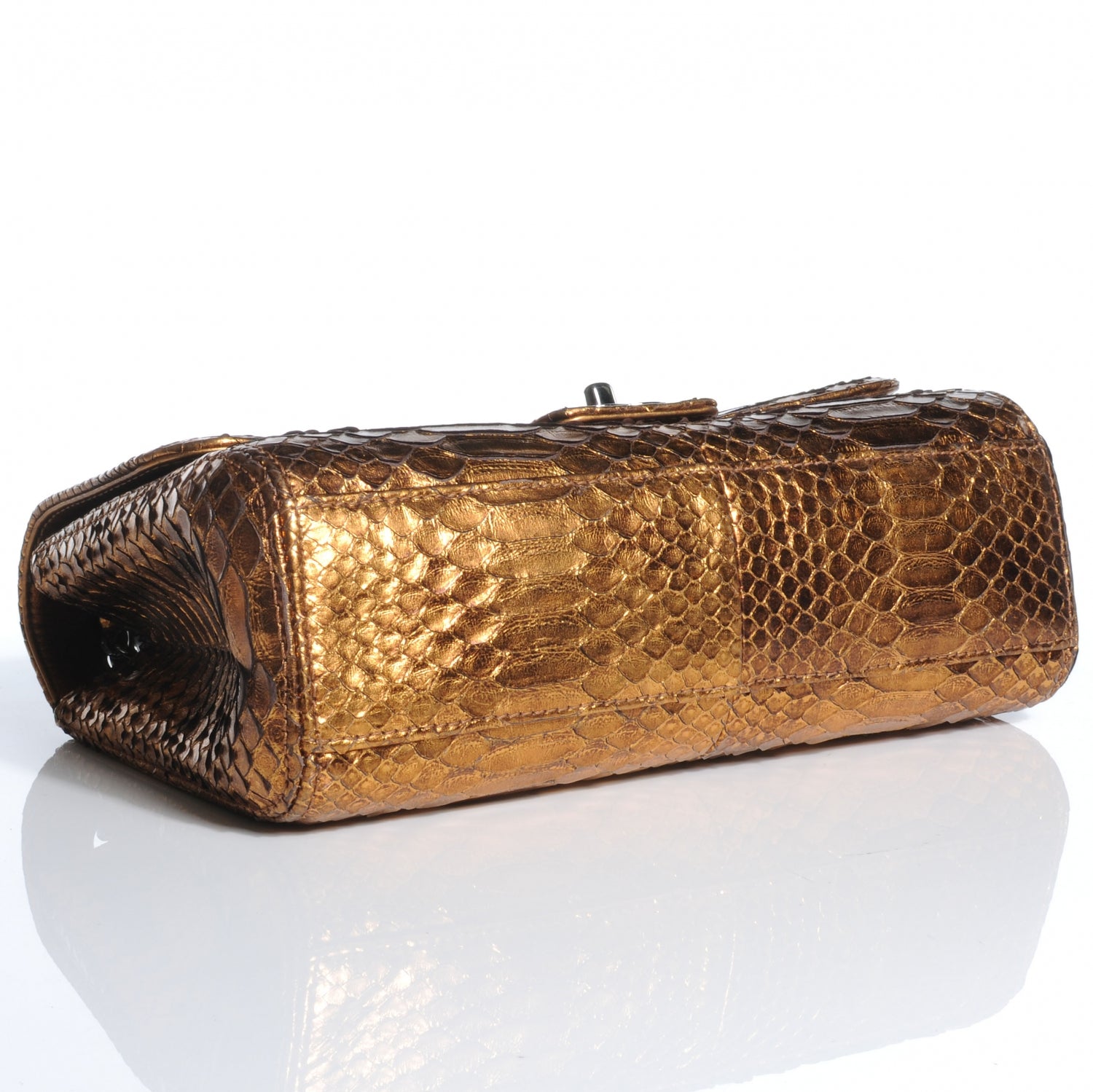 Chanel Python Tassel Medium Flap Bronze 4 of 8