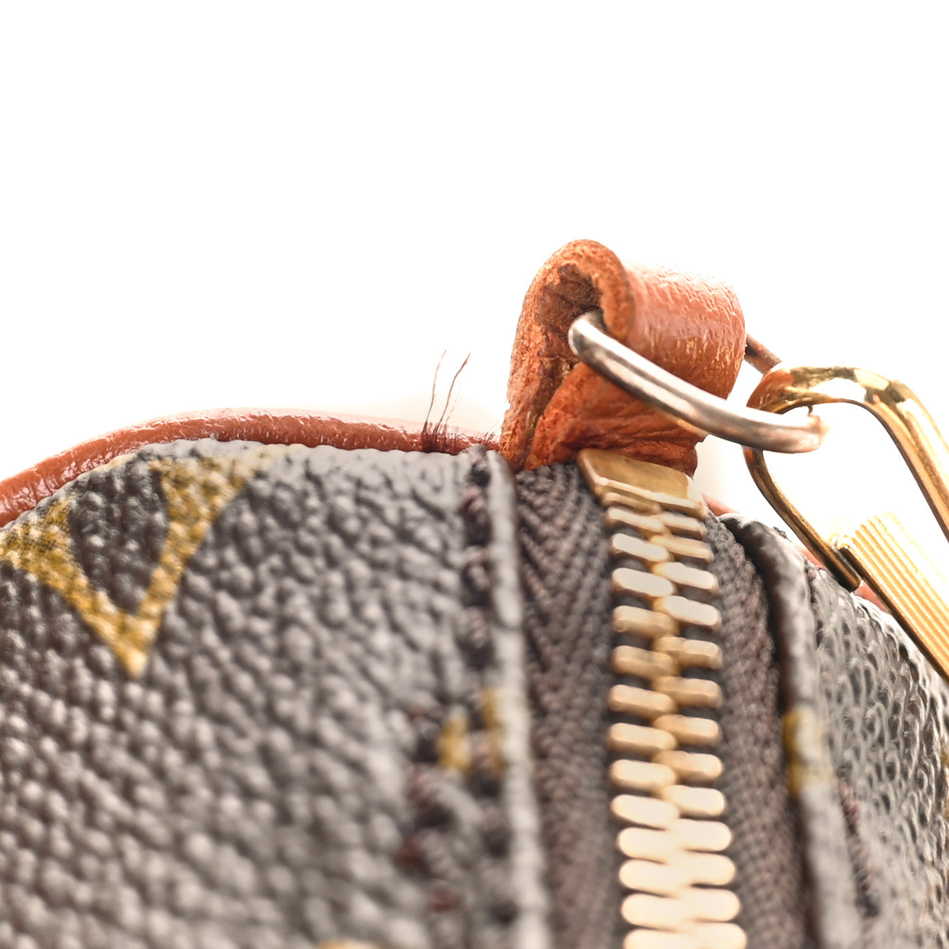 Monogram Papillon 30 with Companion