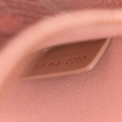Christian Dior Canvas Embroidered Cannage Medium Lady D-Lite Bois de Rose 7 of 11
