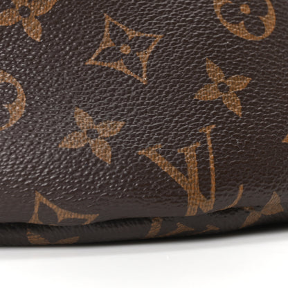Louis Vuitton Monogram Bumbag 8 of 9