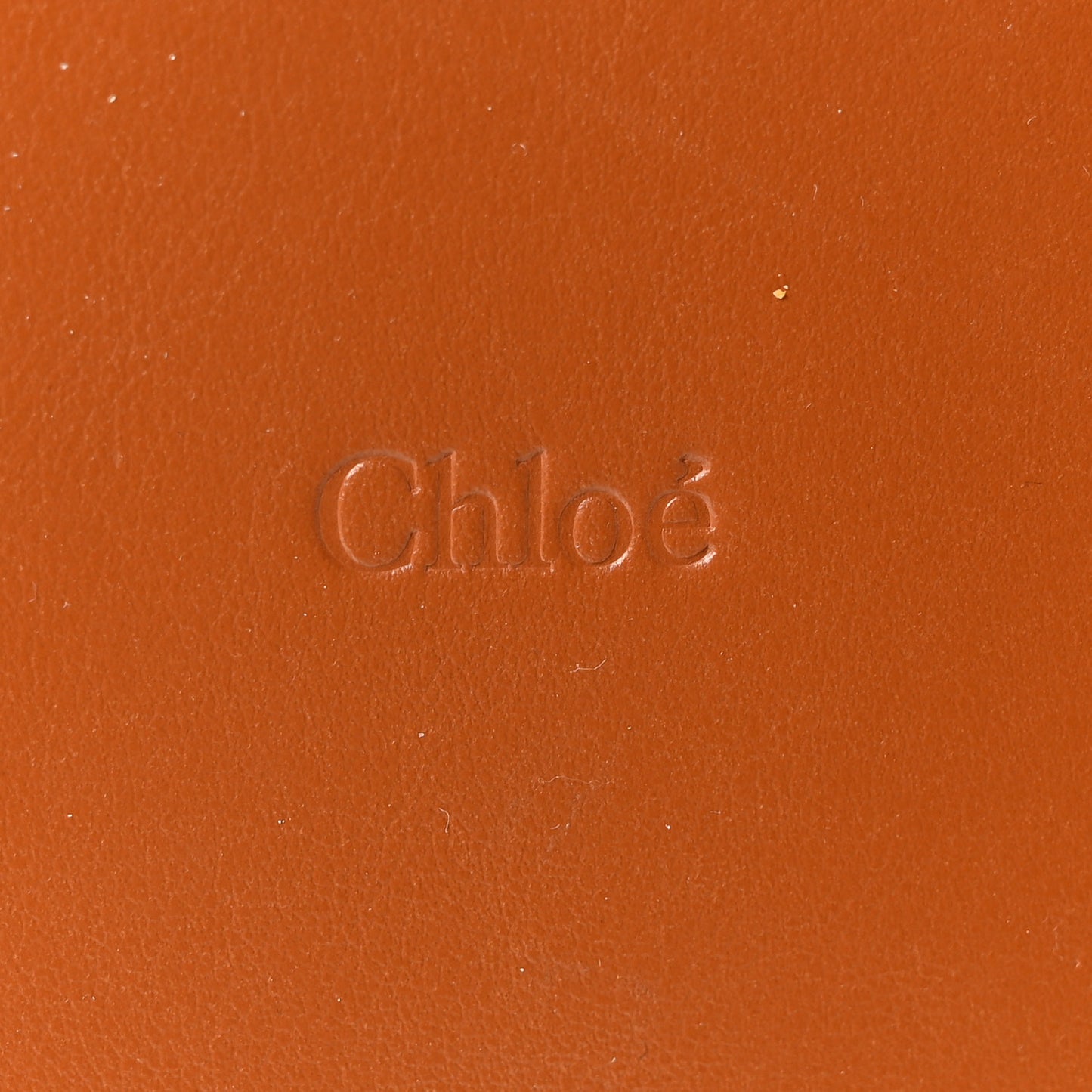 Raffia Smooth Calfskin Medium Sense Basket Caramel