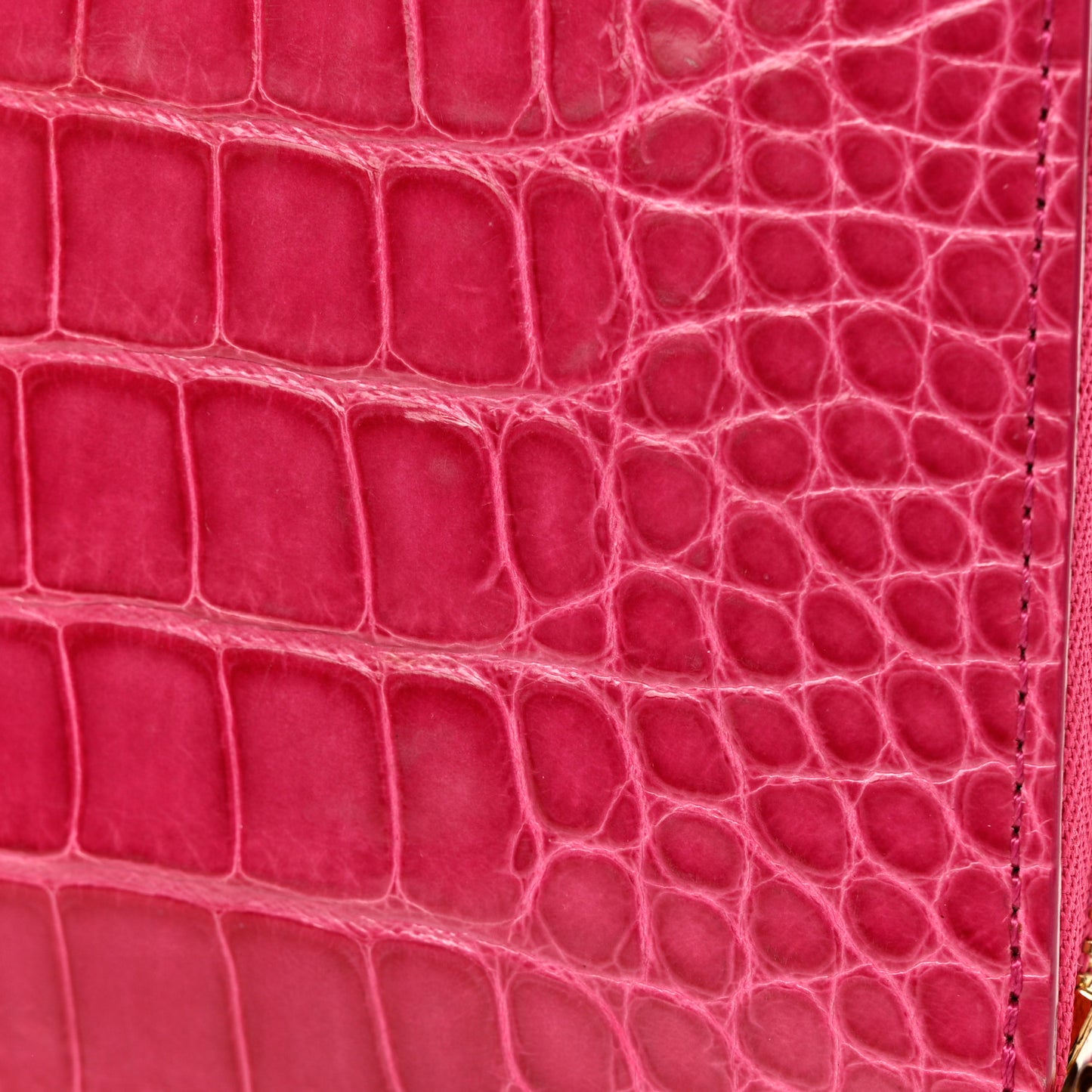 Crocodile Zippy Wallet Fuchsia