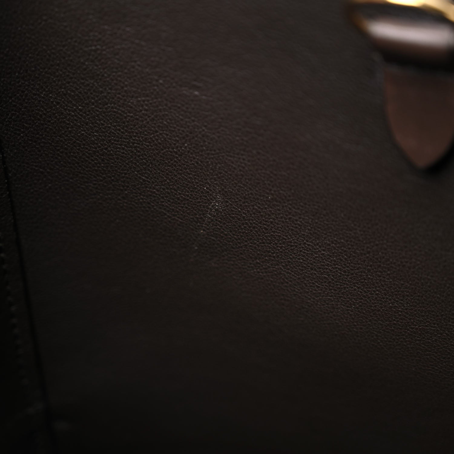 Celine Supersoft Calfskin Sangle Bucket Bag Wood 15 of 24