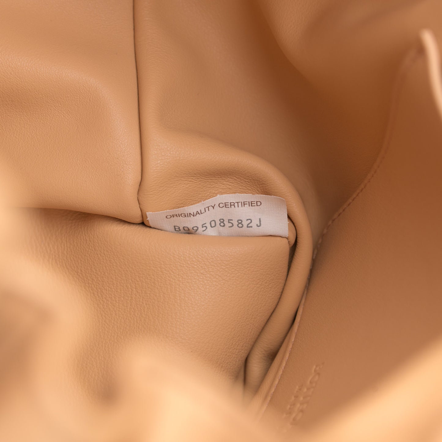 Calfskin Small Beak Tote Almond