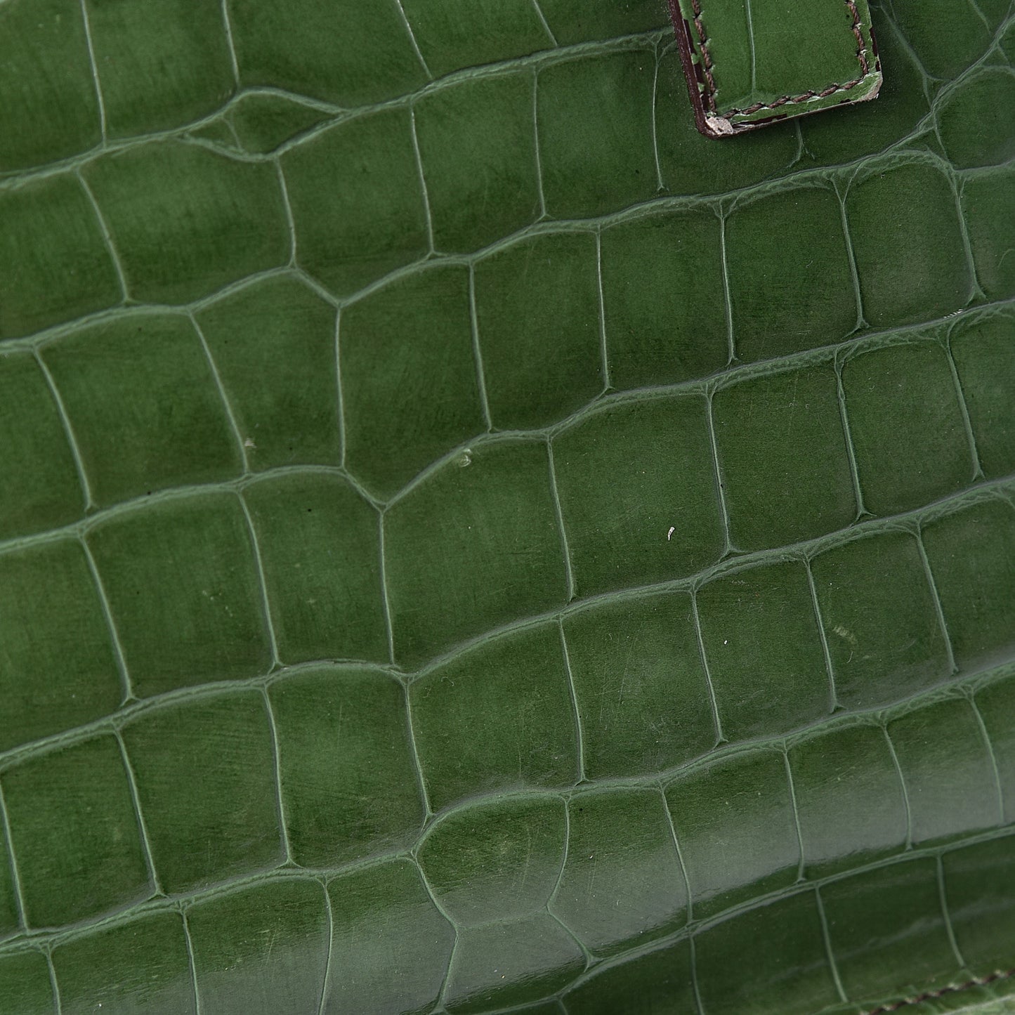 Shiny Calfskin Crocodile Embossed Double Zip Bauletto Larice