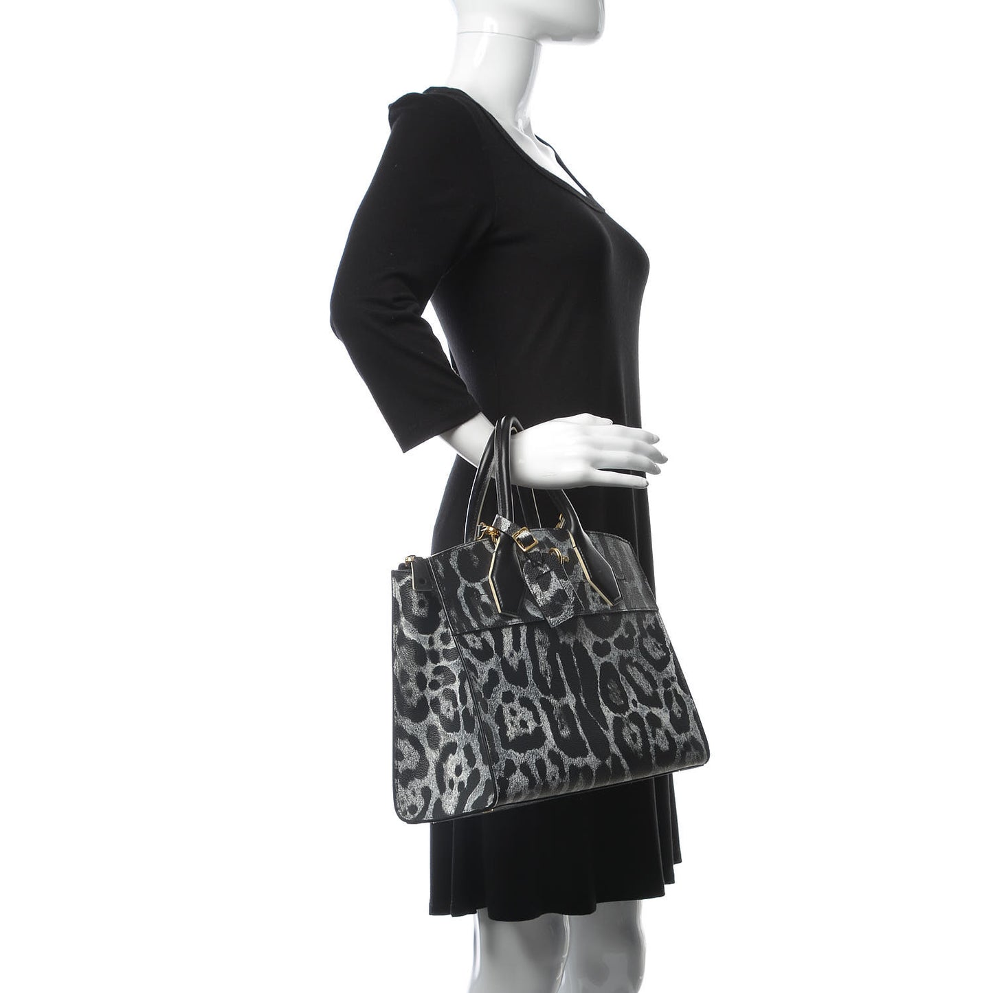 Canvas Calfskin Wild Animal Print City Steamer MM Black