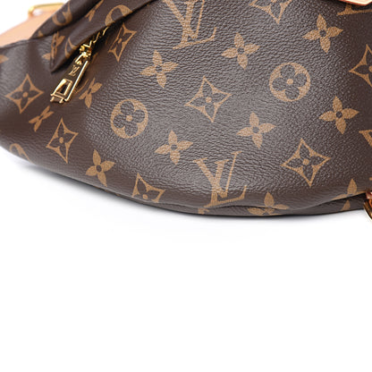 Louis Vuitton Monogram Bumbag 6 of 8