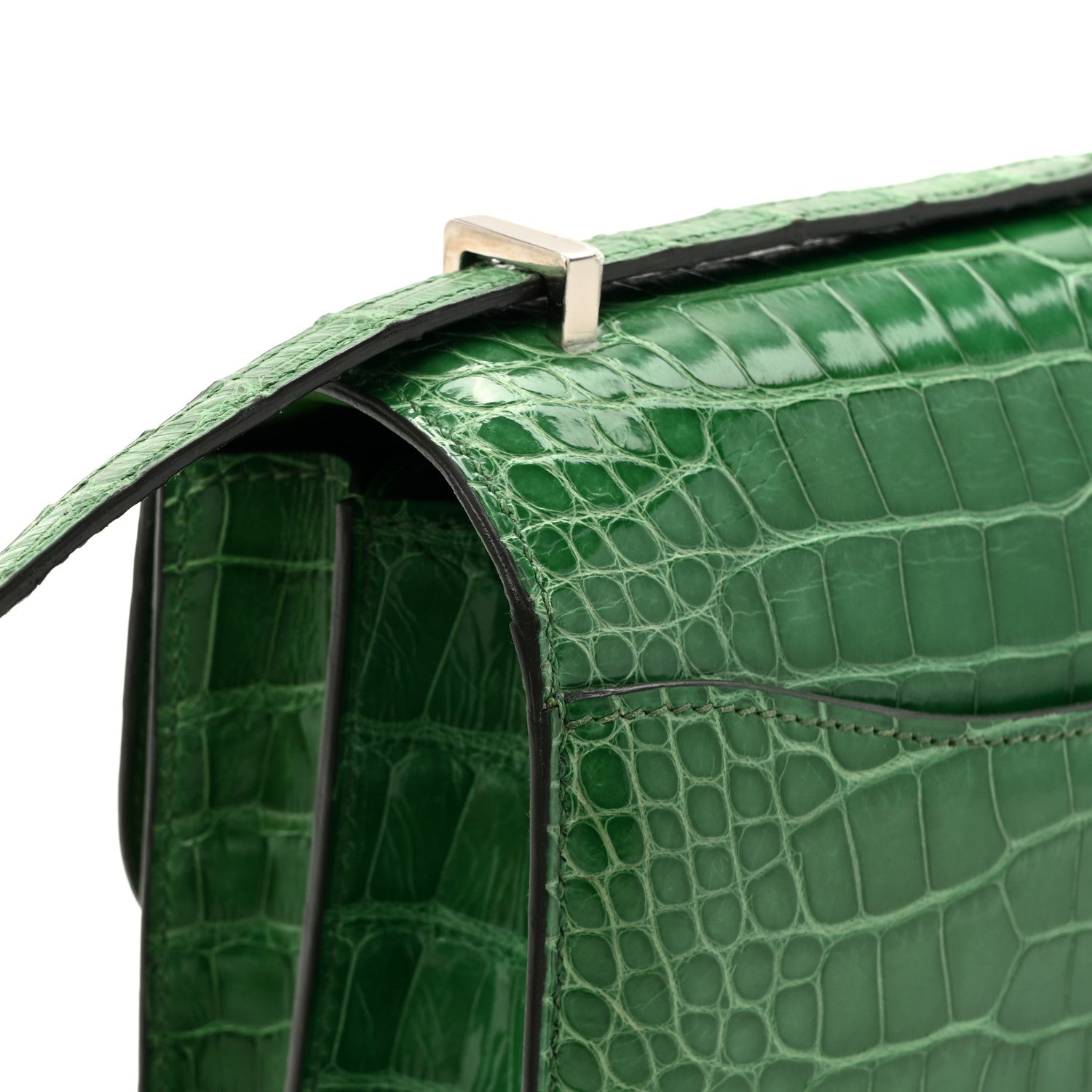 Hermes Shiny Alligator Constance 18 Cactus 13 of 13