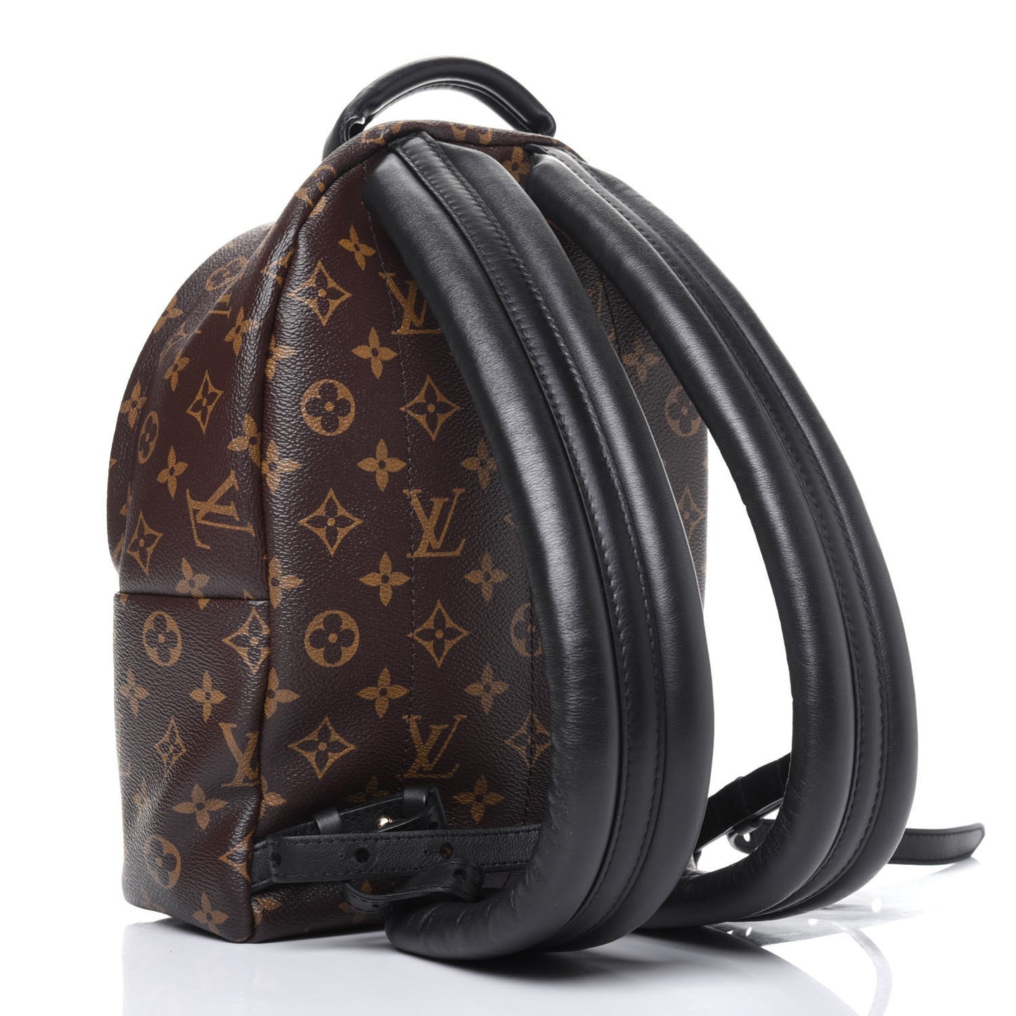 Monogram Palm Springs Backpack PM