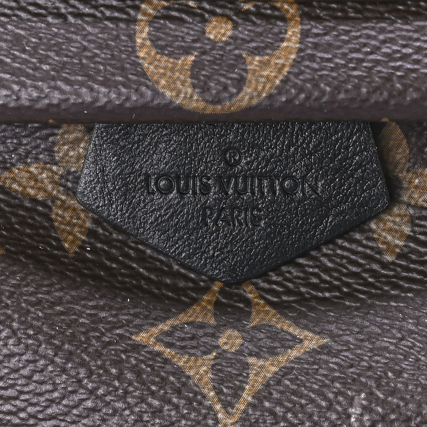 Monogram Palm Springs Backpack Mini