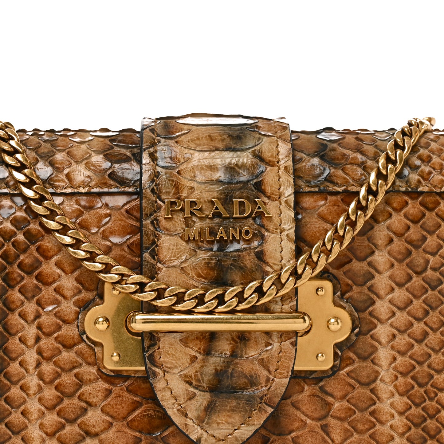Snakeskin Cahier Pochette Naturale