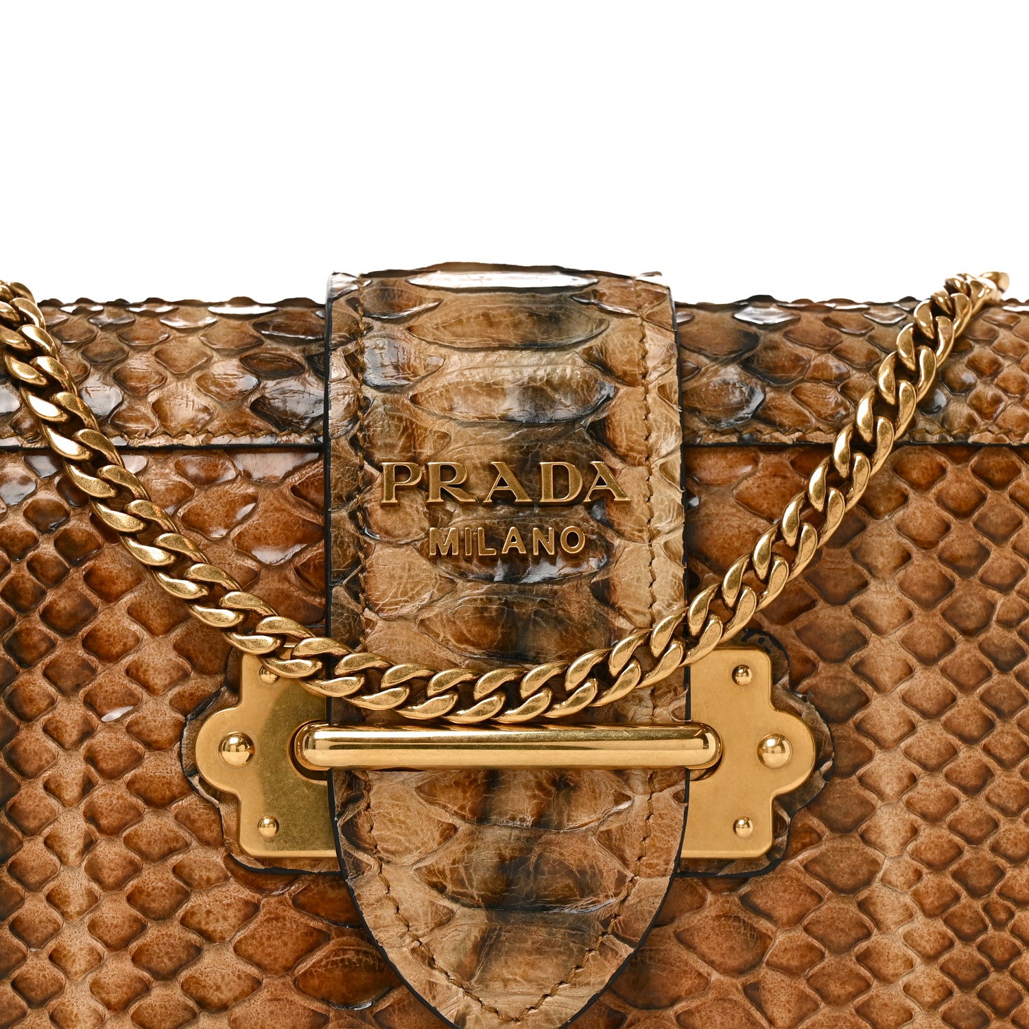 Prada Snakeskin Cahier Pochette Naturale 7 of 9