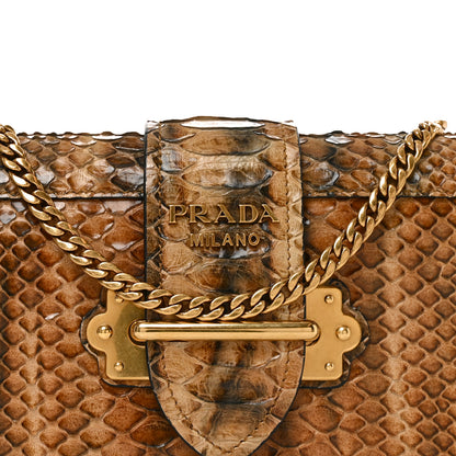 Prada Snakeskin Cahier Pochette Naturale 7 of 9