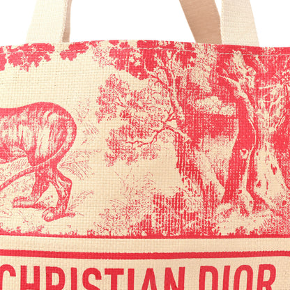 Christian Dior CHRISTIAN DIOR Straw Dioriviera Tote Pink 6 of 11