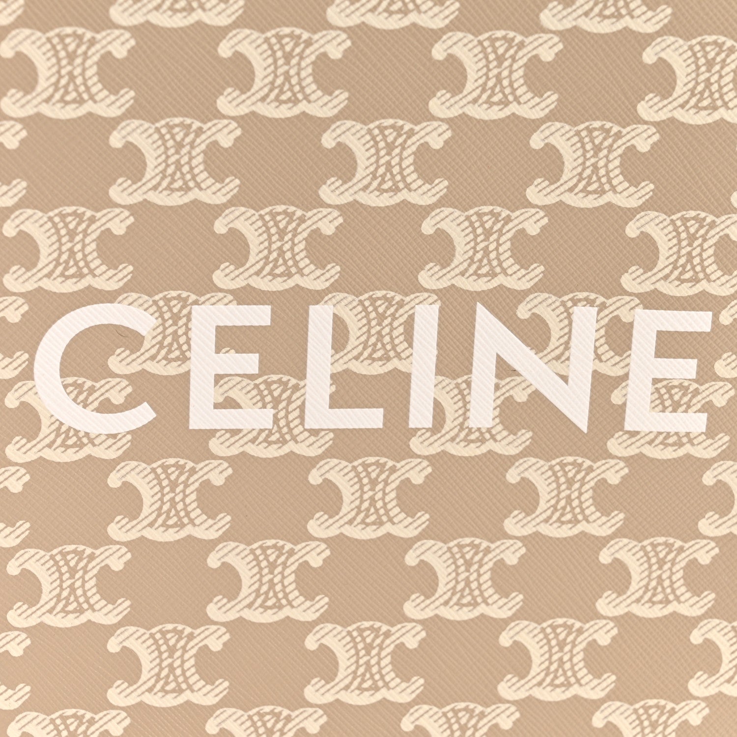 Celine Triomphe Canvas Calfskin Mini Vertical Cabas Grege 6 of 12