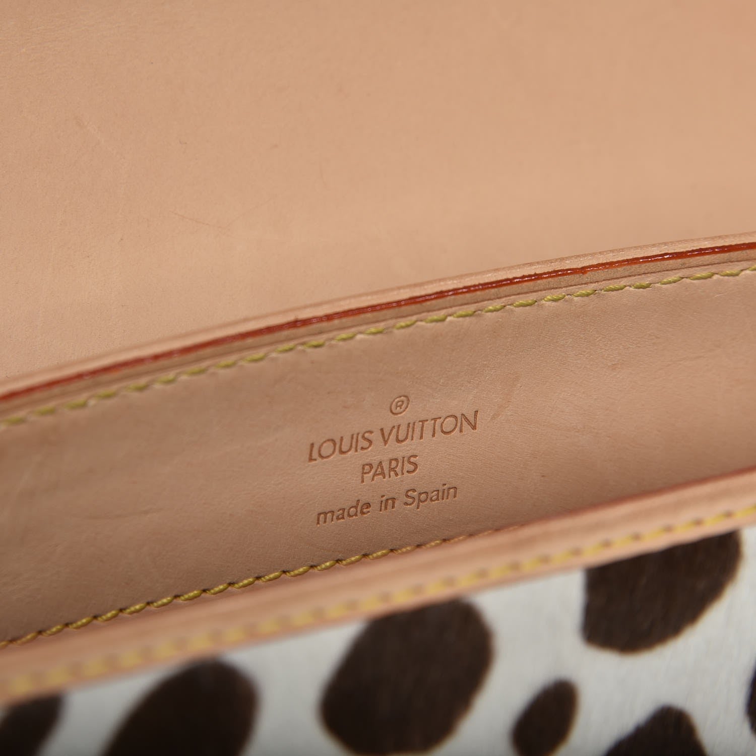 Louis Vuitton Monogram Multicolor Dalmatian Sac Rabat 6 of 8