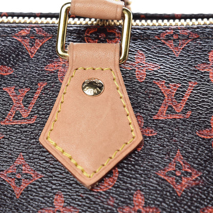 Louis Vuitton Catogram Speedy Bandouliere 30 Marron 14 of 16