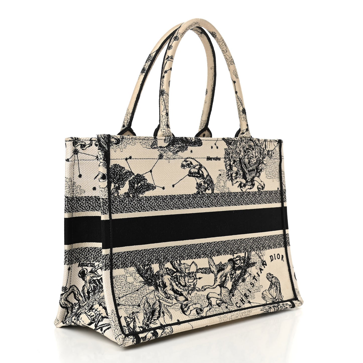 Canvas Zodiac Toile De Jouy Embroidered Medium Book Tote Latte