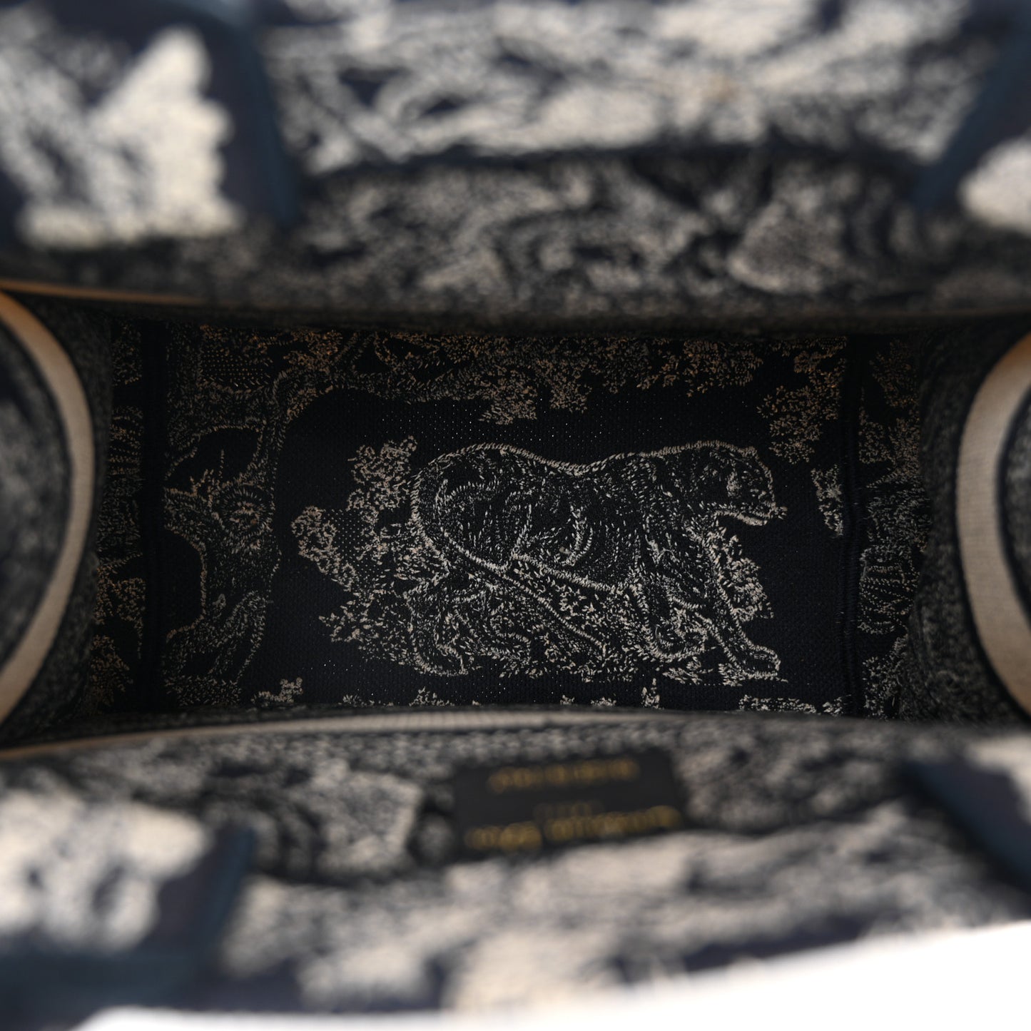 Canvas Embroidered Small Dioriviera Toile De Jouy Book Tote Blue