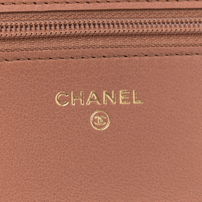 Chanel Lambskin Quilted Chanel 19 Wallet On Chain WOC Brown 6 of 12