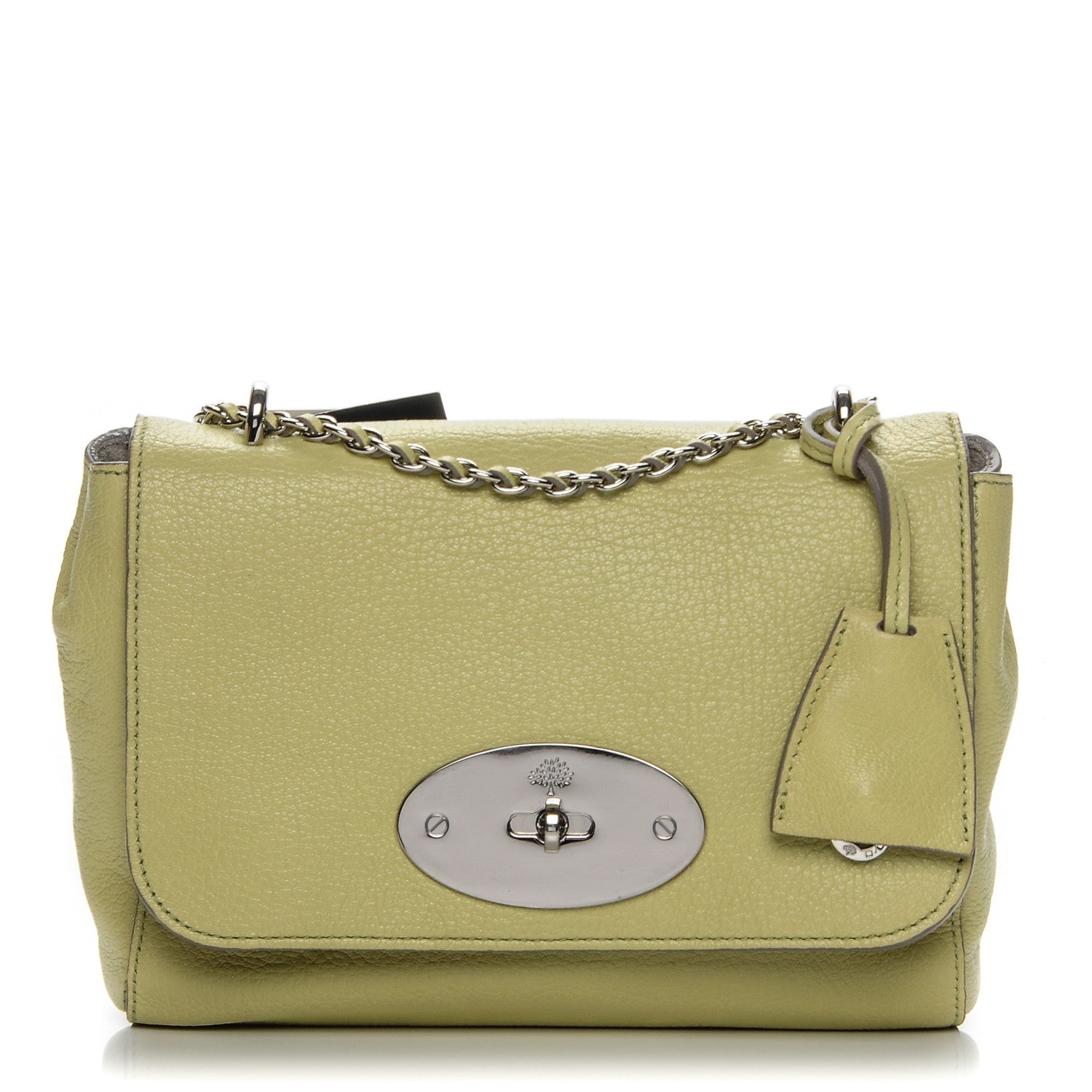 Mulberry Glossy Goatskin Small Lily Flap Pistachio 1 of 7