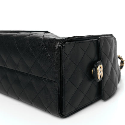 Chanel Caviar Quilted Small Chanel 25 Handbag Black 10 of 11