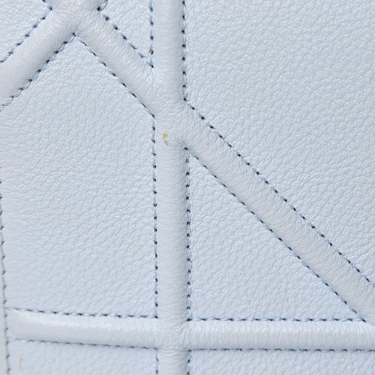 Grained Calfskin Diorama Wallet on Chain Pouch Light Blue