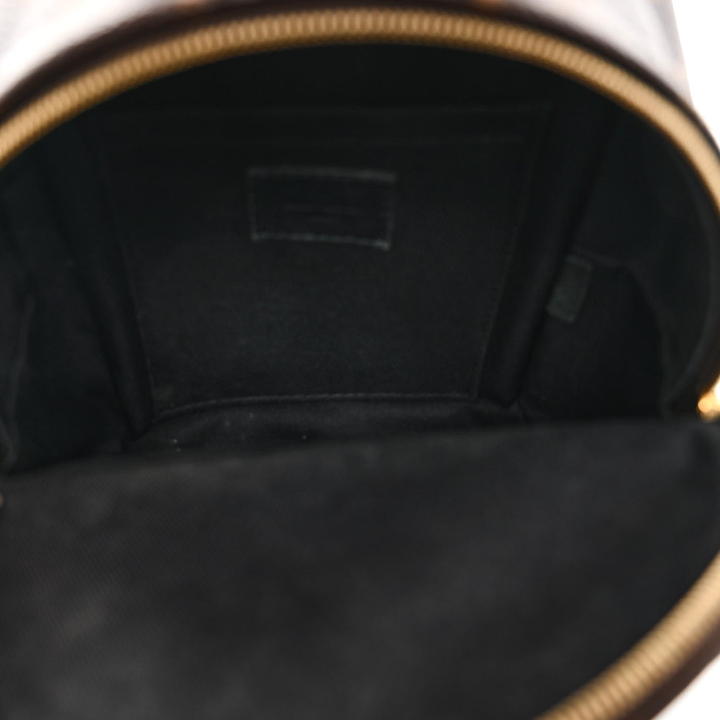 Monogram Palm Springs Backpack Mini