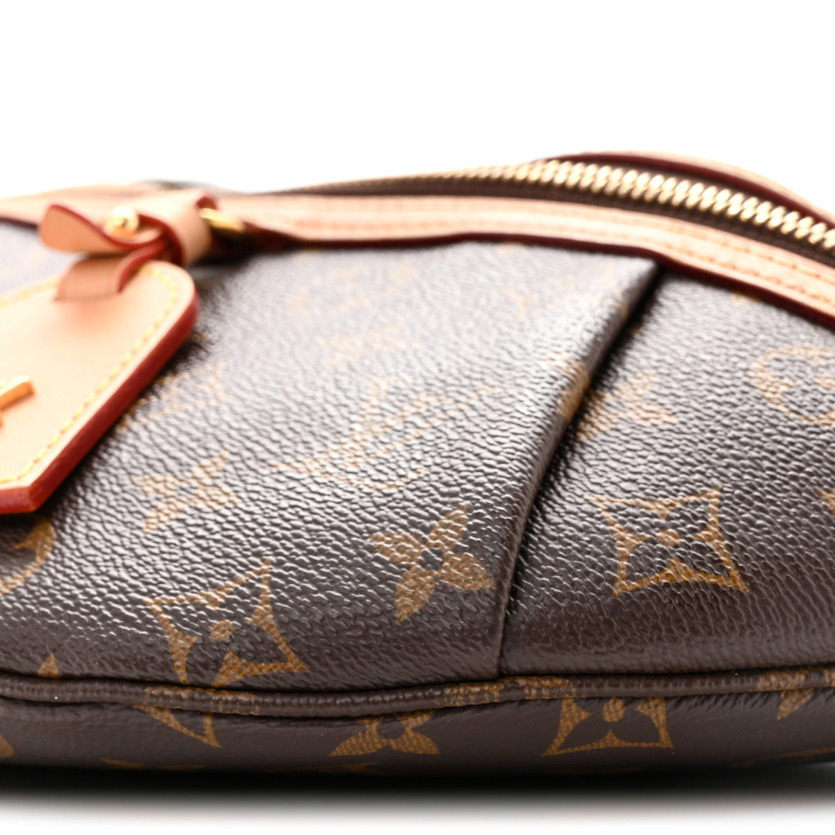 Monogram High Rise Bumbag
