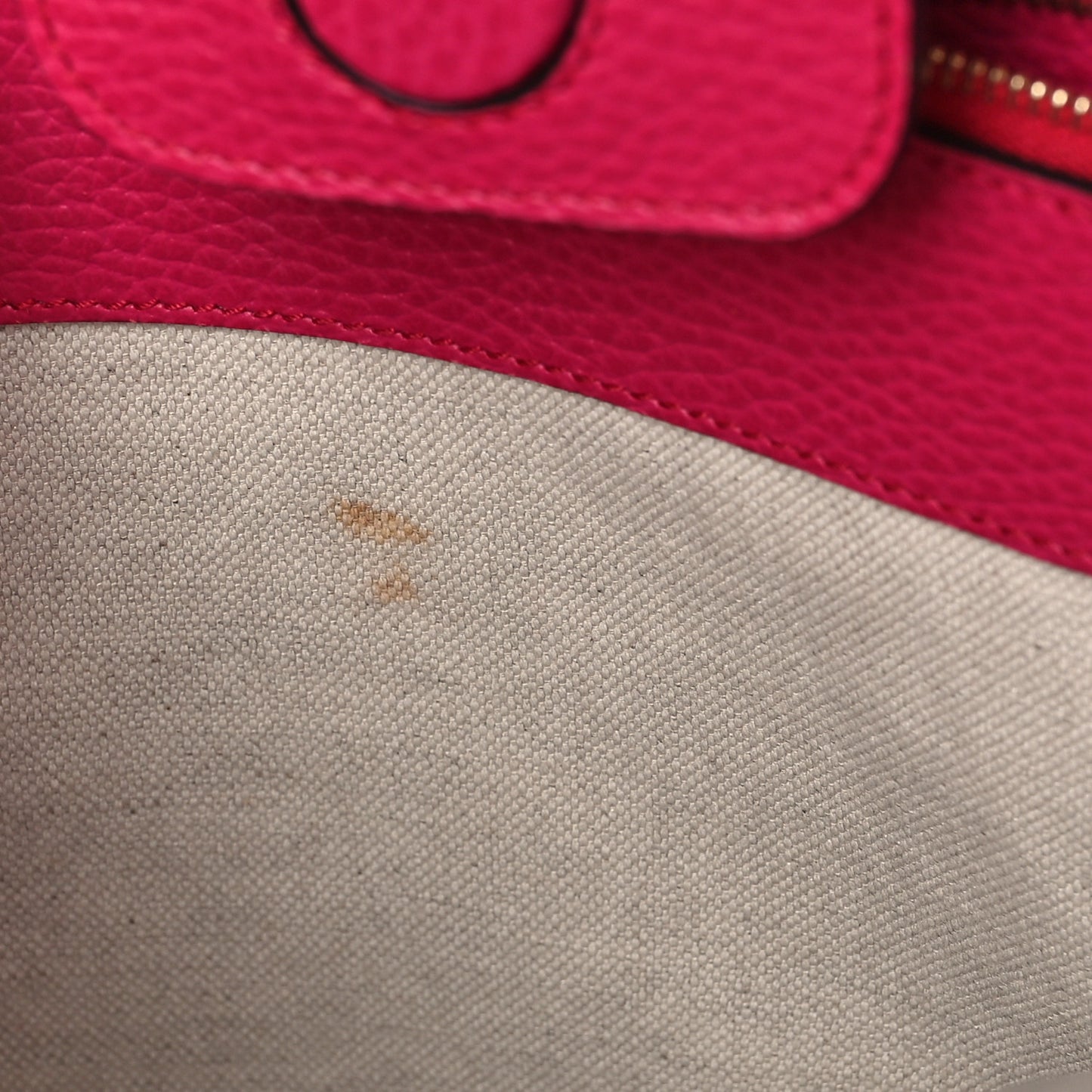 Dollar Calfskin Medium Swing Tote Blossom